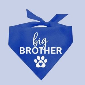 🐾 Big Brother Bandana, NWT
